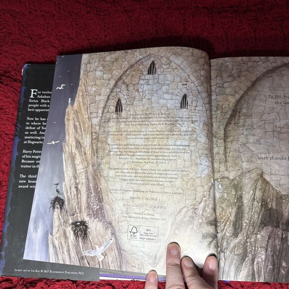 Harry Potter Illustrated Hardcovers Set 4 -Books 1-3 + Fantastic Beasts - Picture 12 of 15